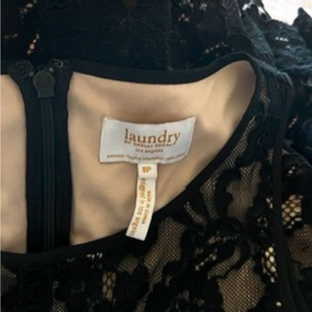 Elegant Black Lace Dress - Picture 4 of 4